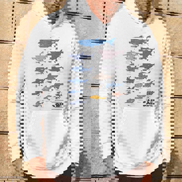 サメ図鑑 パーカー ライフスタイル