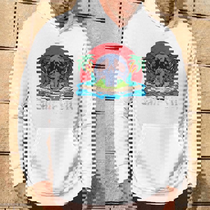 サンタクルーズ カリフォルニア ヴィンテージ レトロ 長袖tシャツ パーカー ライフスタイル