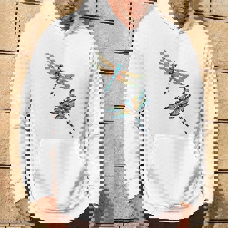 トンボ、飛ぶ昆虫のトンボ、トンボ。 パーカー ライフスタイル