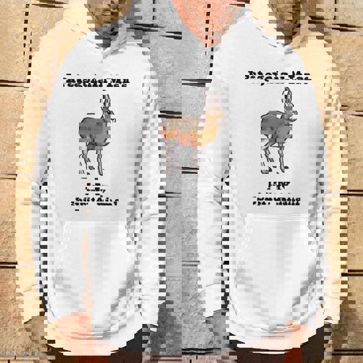 パタゴニアン マーラ スピリットアニマル 長袖tシャツ パーカー ライフスタイル