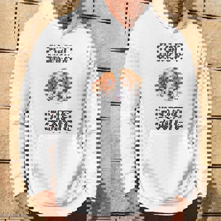 ブリタニー・スパニエル犬を連れて行けないなら行かない パーカー ライフスタイル