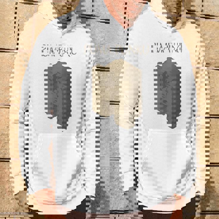 プーマ プンク 長袖tシャツ パーカー ライフスタイル