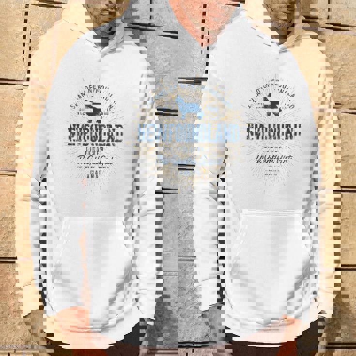 ヴィンテージ ニューファンドランド レトロ パーカー ライフスタイル