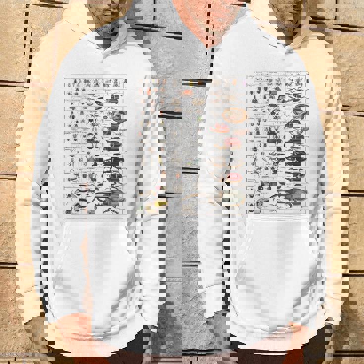 昆虫の種類 ビンテージバグ同定科学 パーカー ライフスタイル