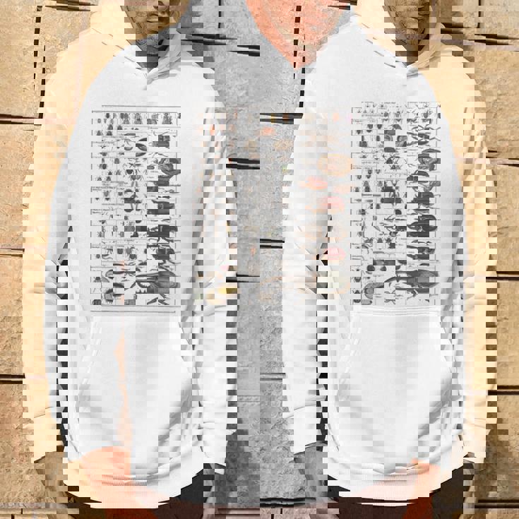 昆虫学者 昆虫学 昆虫 虫の種類 パーカー ライフスタイル