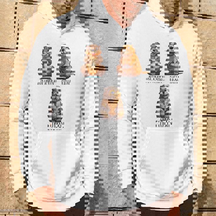 異なるタイプのビーバーズ品種コレクション、かわいいビーバーが大好き。 長袖tシャツ パーカー ライフスタイル