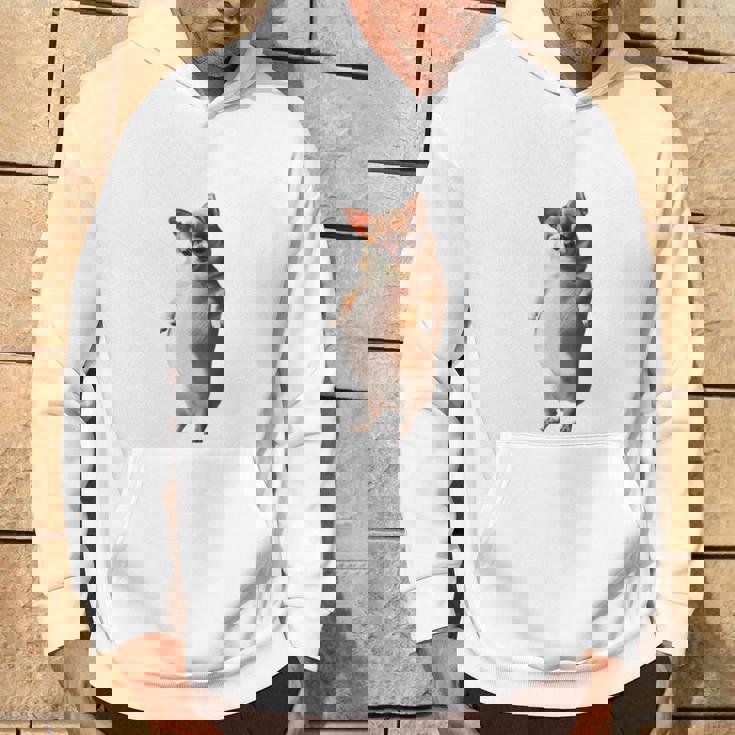 面白いtシャツ チワワ 犬 わがままボディ イヌ わんこ メンズ 犬好き グッズ おもしろ 面白い 服 ネタ 長袖tシャツ パーカー ライフスタイル