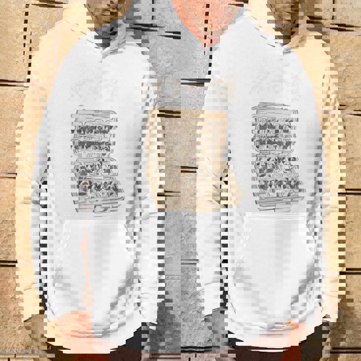 面白いtシャツ パグ 犬 お薬 イヌ わんこ メンズ 犬好き グッズ かわいい おもしろ 面白い 服 ネタ 長袖tシャツ パーカー ライフスタイル