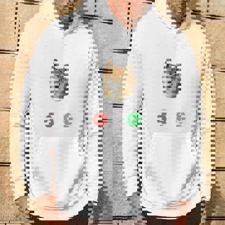 面白いtシャツ 柴犬 着信 イヌ わんこ メンズ 犬好き グッズ かわいい おもしろ 面白い 服 ネタ 長袖tシャツ パーカー ライフスタイル