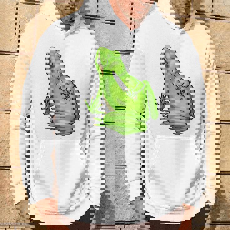 面白い邪悪なカエル サカラスティック 怒っているカエル かわいい 不機嫌な狂気 パーカー ライフスタイル