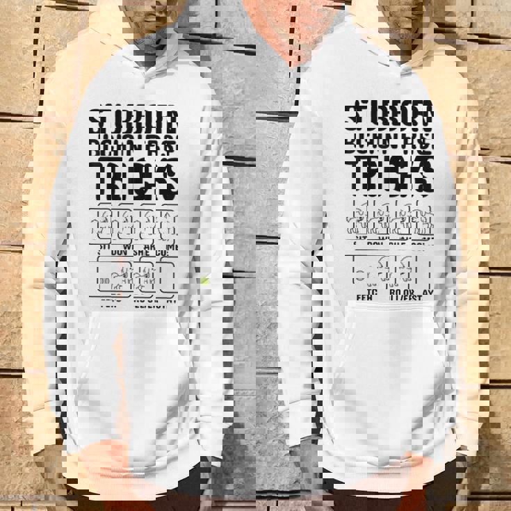 頑固なビションフリーゼ トリックドッグ パーカー ライフスタイル