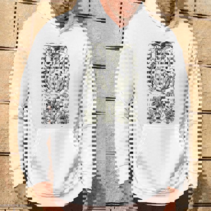 食虫植物 ヴィンテージ サラセニア ボタニカル パーカー ライフスタイル