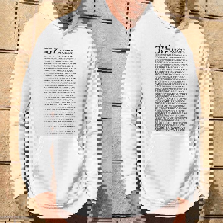 （背中側 バックプリント）314 円周率 パイ《数学》【変なtシャツ屋さん】理数系 数字 メッセージ 面白い パーカー ライフスタイル