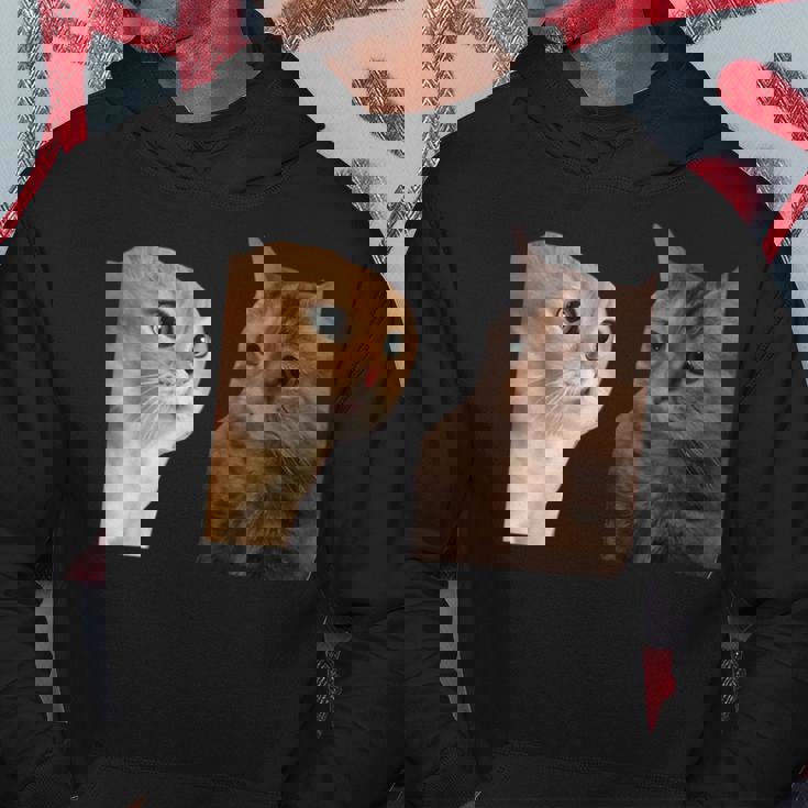 2匹の猫がミームを話す パーカー 面白い贈り物