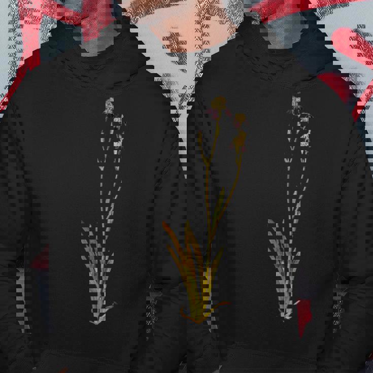 Albrecht Durerによるアイリス1503 パーカー 面白い贈り物