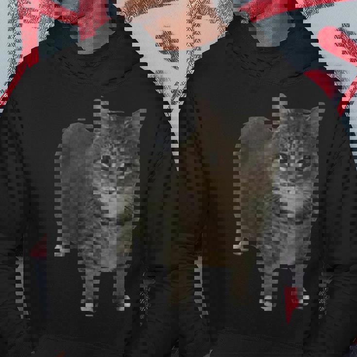 Oiia Oiia スピニングキャットミーム パーカー 面白い贈り物