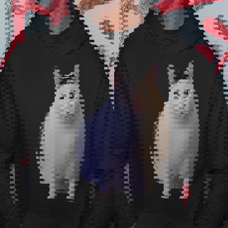 Meme Huh Catミームハァキャット面白い パーカー 面白い贈り物