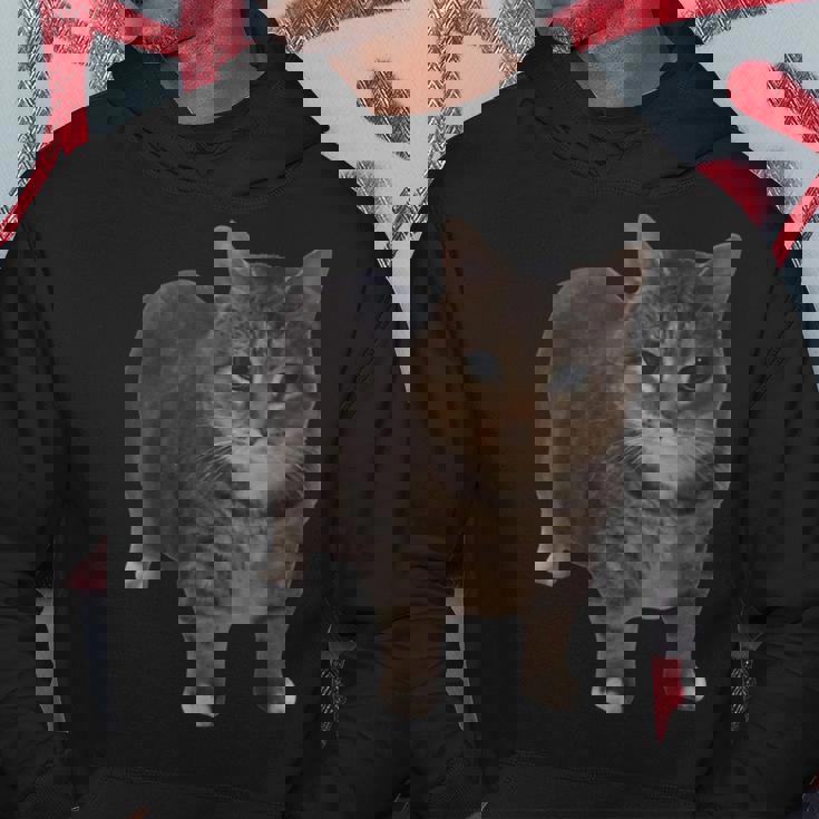 Oiia Oiia 猫 面白い 回転する猫 ミーム パーカー 面白い贈り物