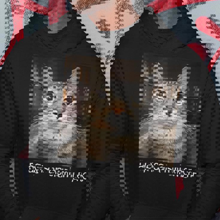 Rage Is Consuming Me 愚かな凝視猫ミーム パーカー 面白い贈り物