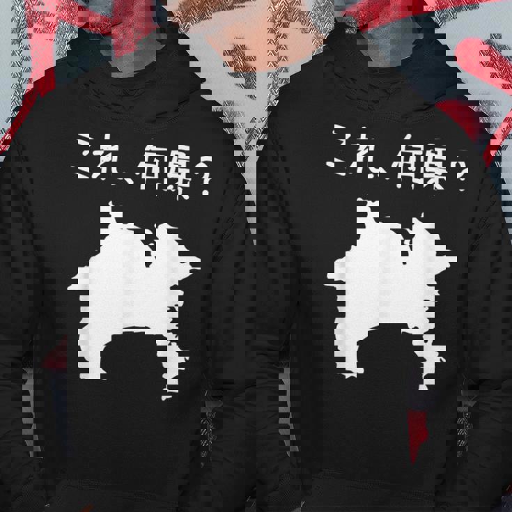 【これ、何県？】神奈川県 都道府県 クイズ 小学生 遊び心 パズル 地図 シルエット 地理 先生 おもしろ 面白い ネタ パーカー 面白い贈り物