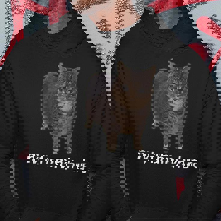 お腹が痛い面白いオイイア・オイア・キャット・ミーム パーカー 面白い贈り物