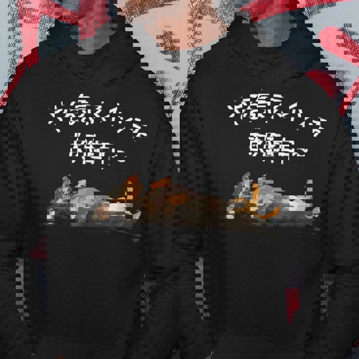 やる気スイッチ故障中 ・ ダックスフンド おもしろ犬 パーカー 面白い贈り物