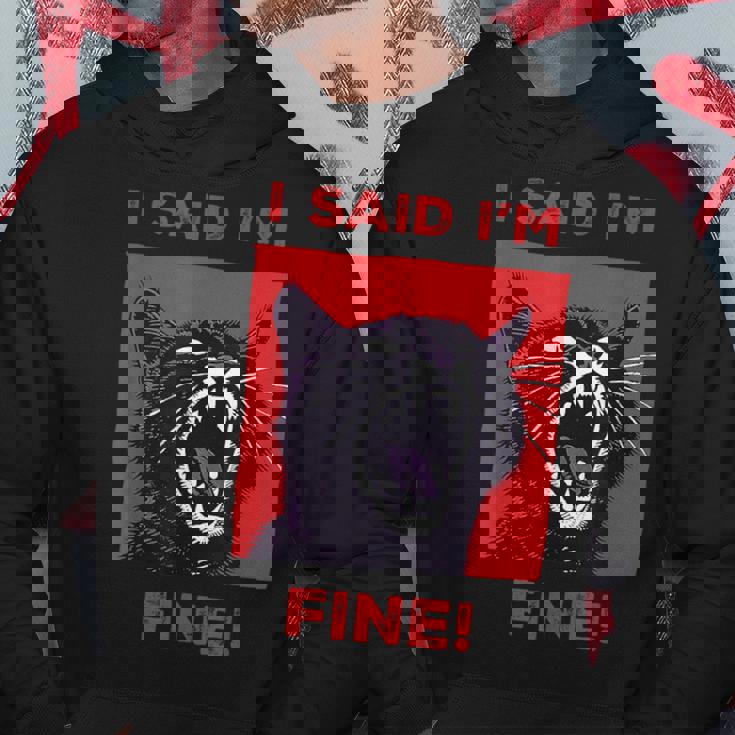 アイ・サイド・アイ・アイム・ファニー・キャット パーカー 面白い贈り物