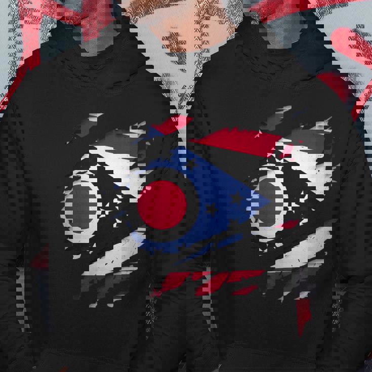 オハイオ州オハイオ州立大学 破れ加工 オハイオ州旗 パーカー 面白い贈り物