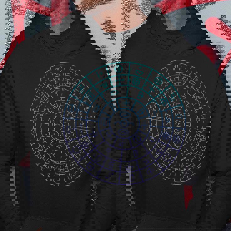 カタカムナ フトマニ図 神代文字 パーカー 面白い贈り物