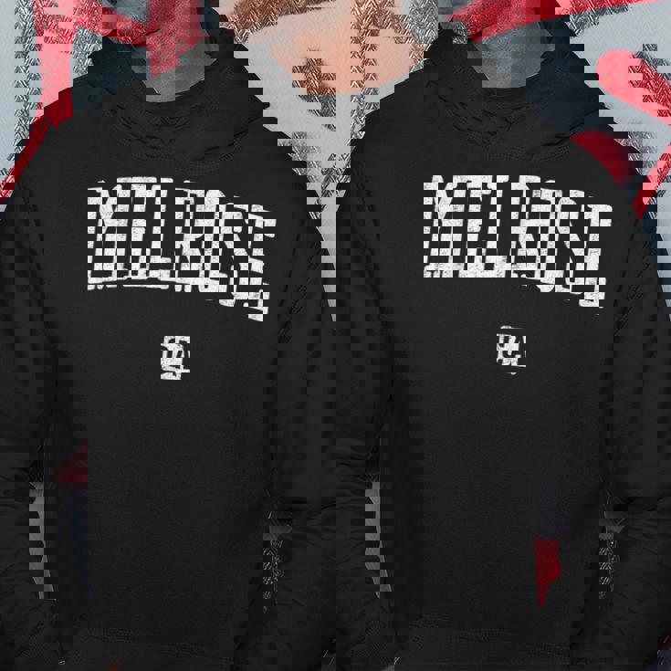 カリフォルニア州メルローズ ヴィンテージ パーカー 面白い贈り物