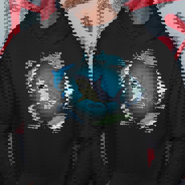 サメ6種 サメタイプ サメ 海の生き物 メガロドン サメ パーカー 面白い贈り物