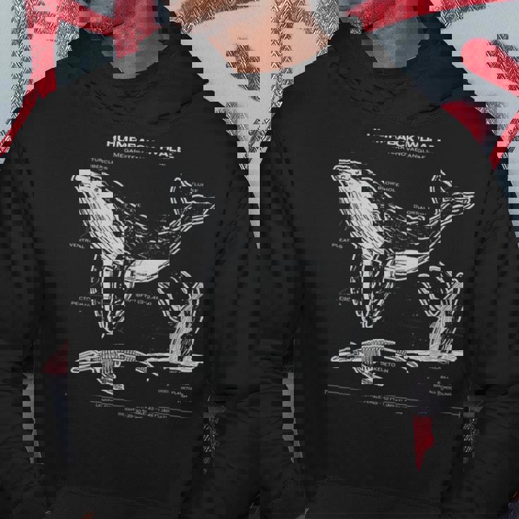 ザトウクジラの解剖学アパレルクジラ航海 パーカー 面白い贈り物