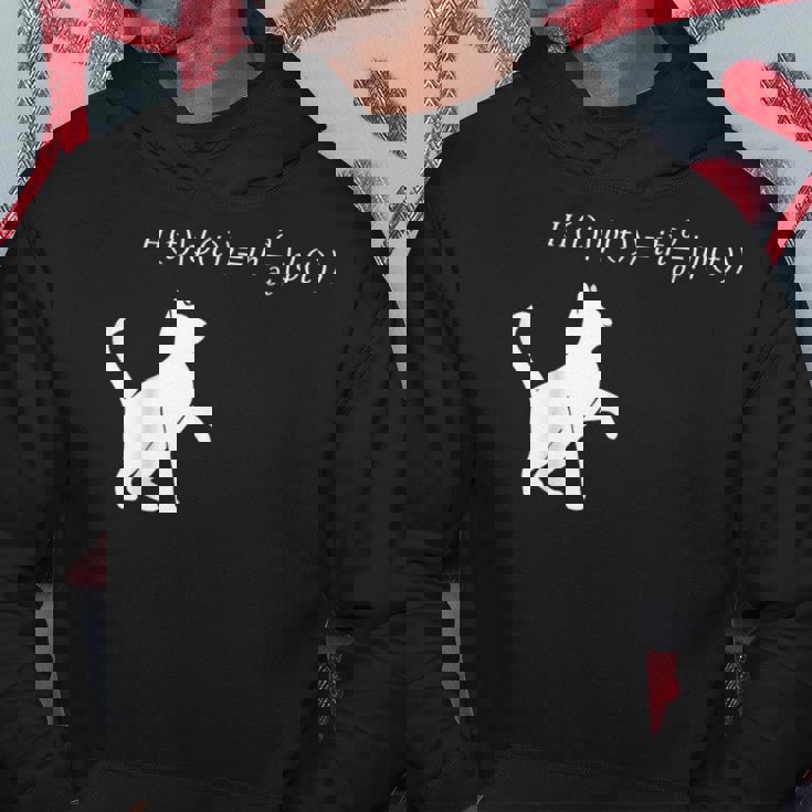 シュロディンガース 猫方程式物理学 オタク物理学 科学 パーカー 面白い贈り物