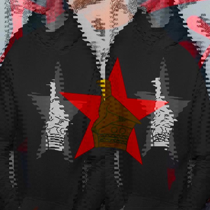 ジンバブエ ソープストーン バードフラッグ パーカー 面白い贈り物