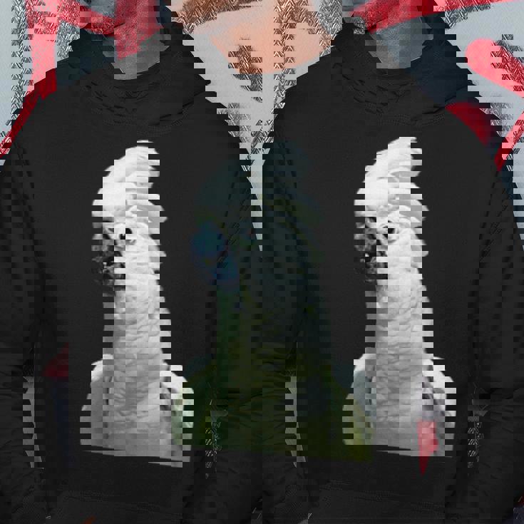 タイハクオウム 鳥 オウム パーカー 面白い贈り物