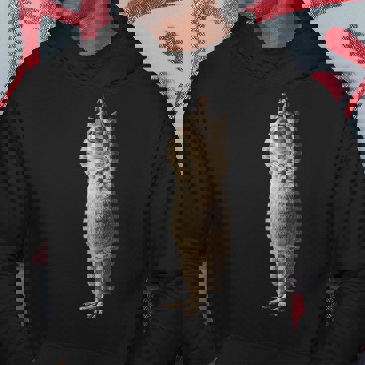 チンチラヨガ パーカー 面白い贈り物