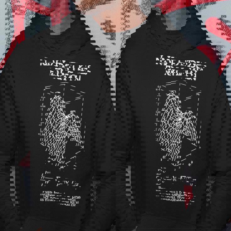 ナビエ・ストークス 方程式 物理学 数学 教師 オタク系 科学 パーカー 面白い贈り物