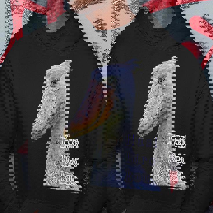 ハシビロコウ『リアルフォト 写真』青い鳥【どうぶつフレンズ】かっこいい 大きな鳥 動物園の生き物 パーカー 面白い贈り物