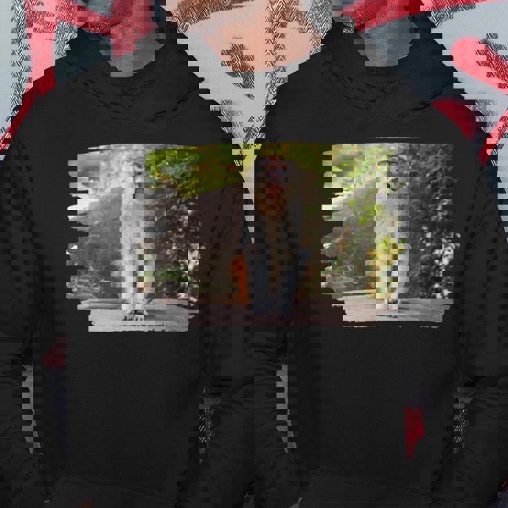 パタス・モンキー パーカー 面白い贈り物