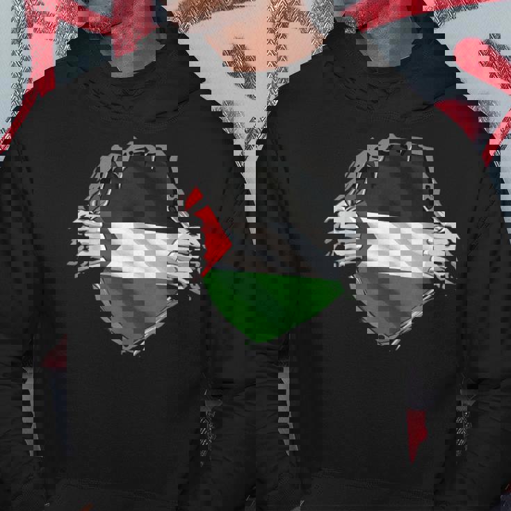 パレスチナシャツ パレスチナ国旗 アラビアのルーツ 遺産 Dna パーカー 面白い贈り物