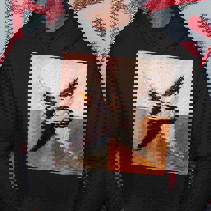 ヒルマ・アフ・クリントのスワネン パーカー 面白い贈り物