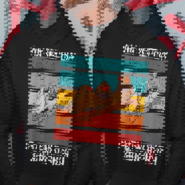 ビンテージ今日必要なのはキンカチョウがたくさん パーカー 面白い贈り物