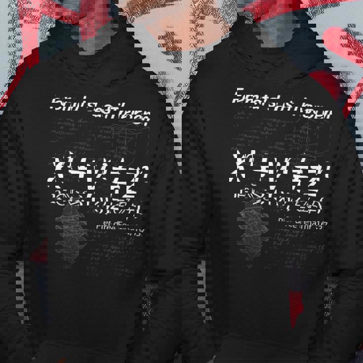 フェルマーの最終定理による設計 パーカー 面白い贈り物