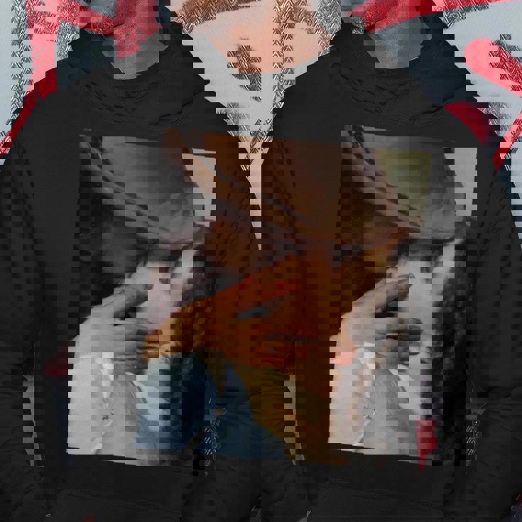 フランチェスコ・ヘイズによるキス パーカー 面白い贈り物