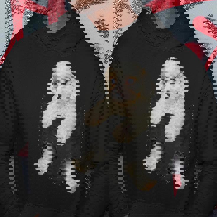 ポケットに入った面白いcavachon Dog Cavachon Dog好きのための パーカー 面白い贈り物