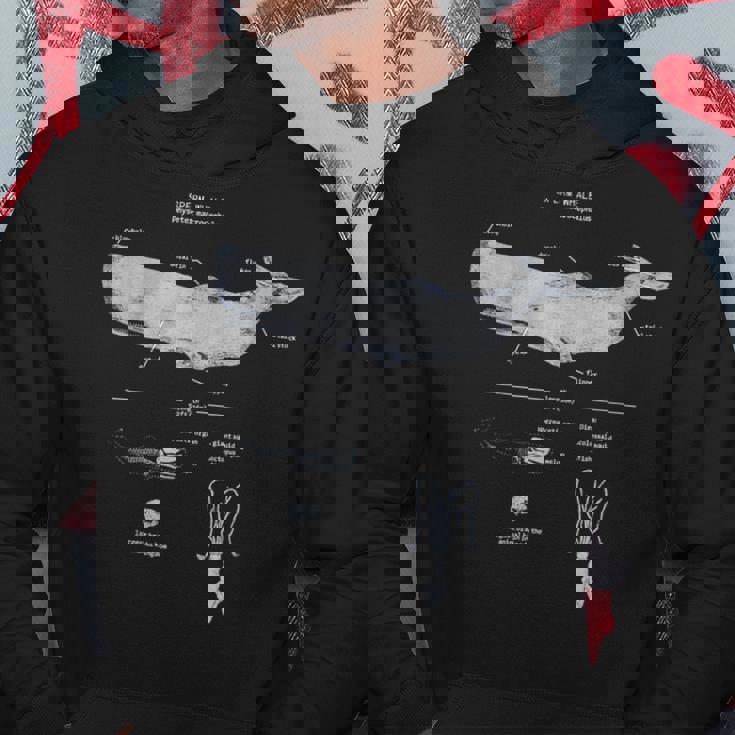 マッコウクジラの解剖学 海洋生物学者 パーカー 面白い贈り物