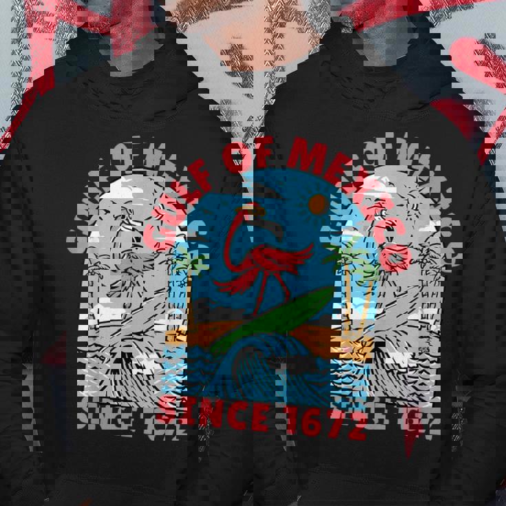 メキシコ湾 フラミンゴ メキシコ湾 1672年以来 パーカー 面白い贈り物