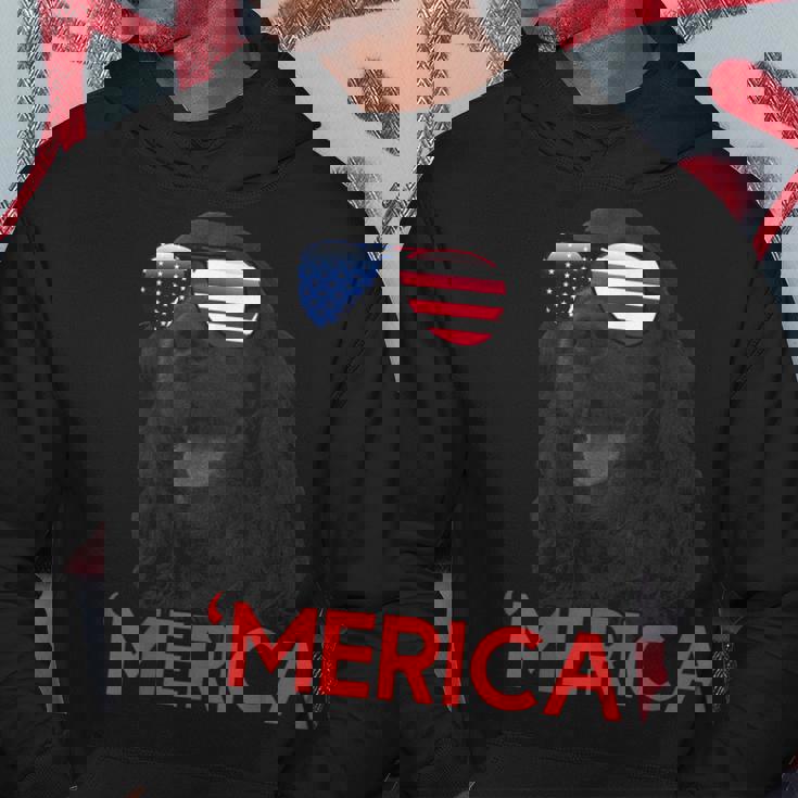 メリカ Englsh Cockerspaniel アメリカ国旗 7月4日 パーカー 面白い贈り物