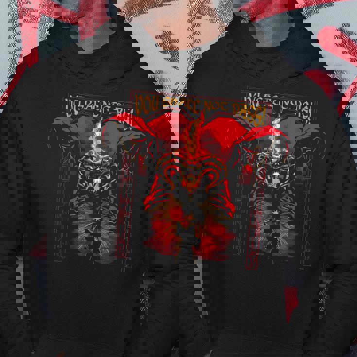 ユー・シャル・ノート・パスファンタジー・ウィザード・アート-ロード・オブ・ザ・リング パーカー 面白い贈り物