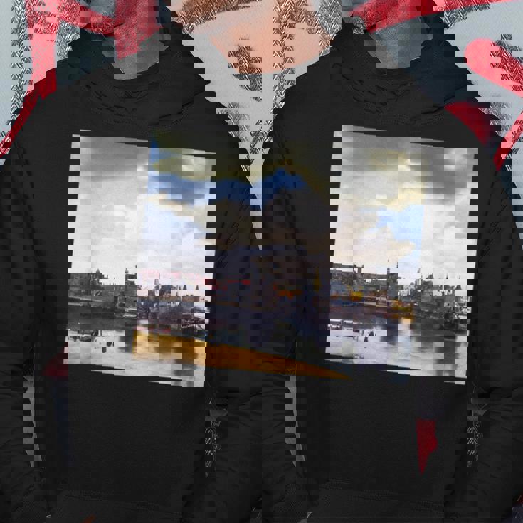 ヨハネス・フェルメールによるデルフトの眺めゲジヒト・オプ・デルフト 1661 パーカー 面白い贈り物